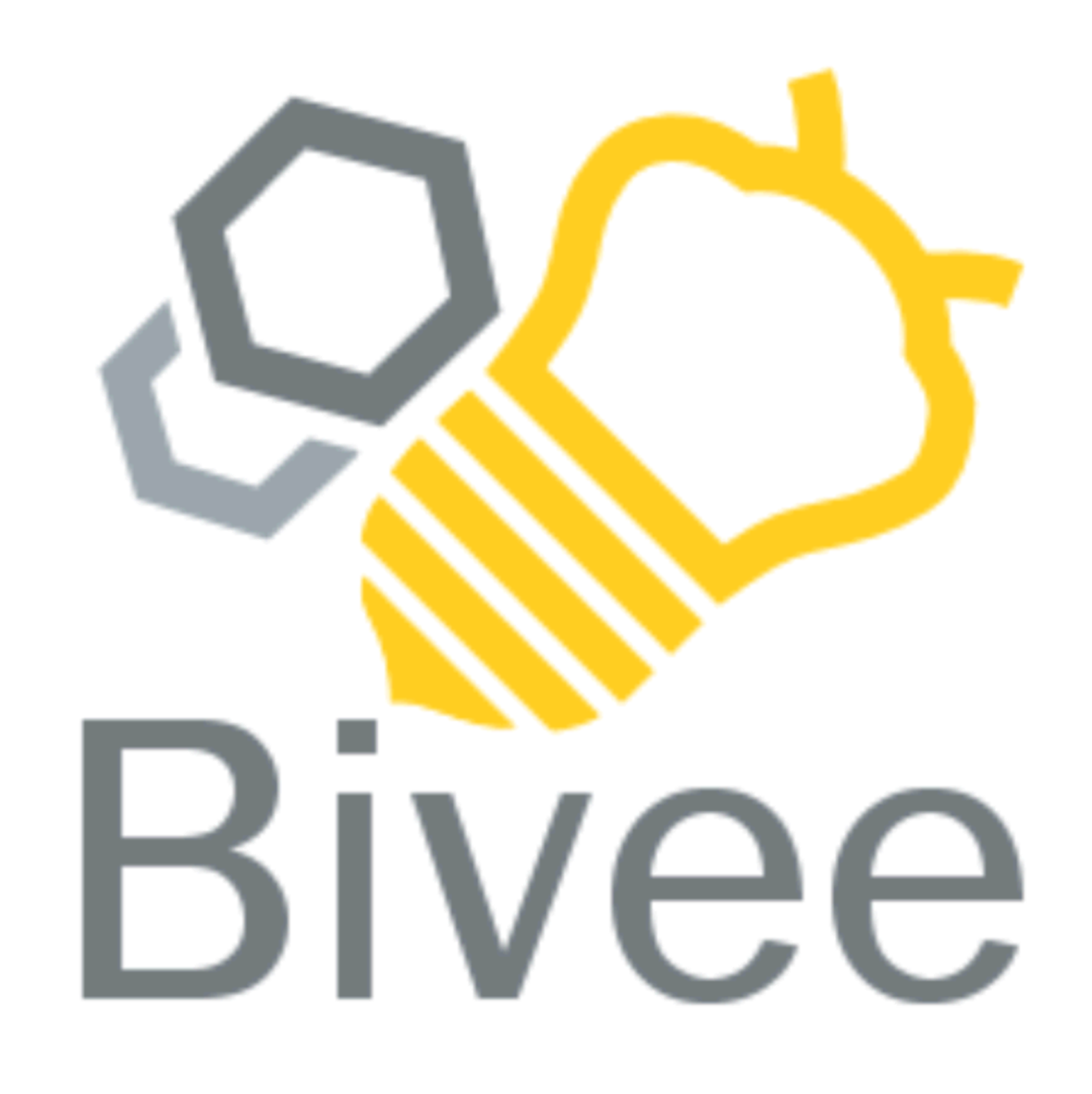  BIVEE